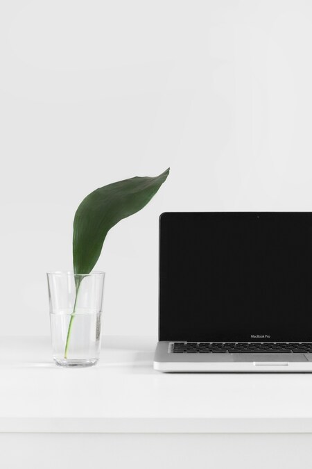 Une plante à coté d'un ordinateur, pour représente une plateforme LMS verte et éco-conçue